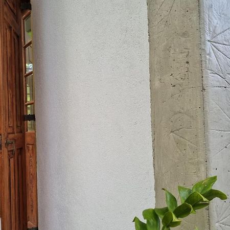 Colive Ahangama Exterior foto
